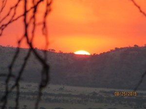 Fiery sunset over the Serengeti.