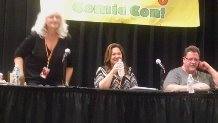 Tampa Bay Comic Con 2015 Panel 1